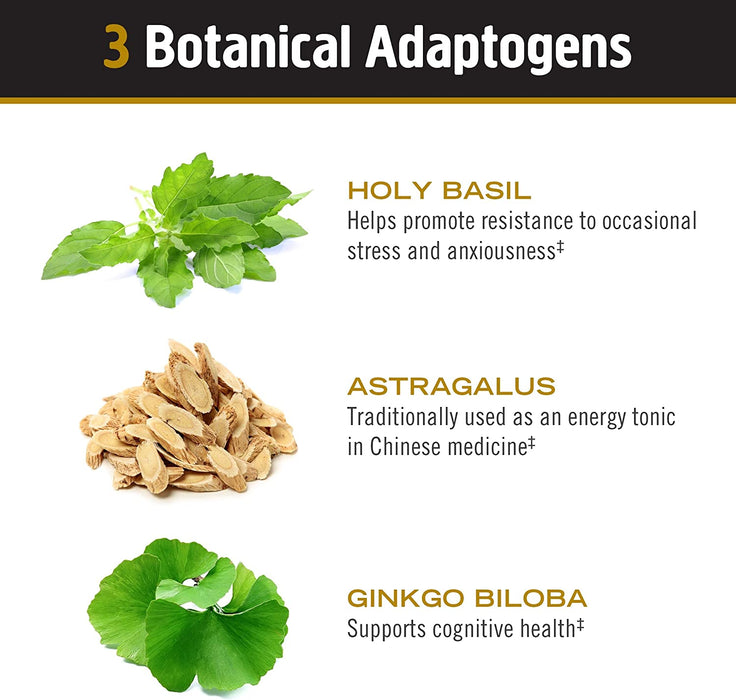 Om Mushroom Superfood: Master Blend Mushroom Capsules (80 Count)