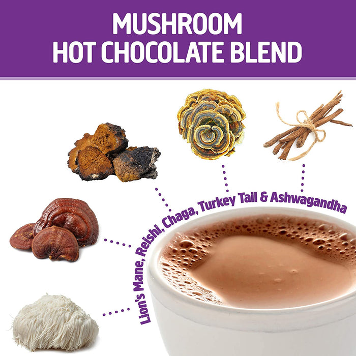Om Mushroom Superfood Hot Chocolate Blend | Single Serve | 10 Count | Lion's Mane, Reishi, Chaga, Turkey Tail