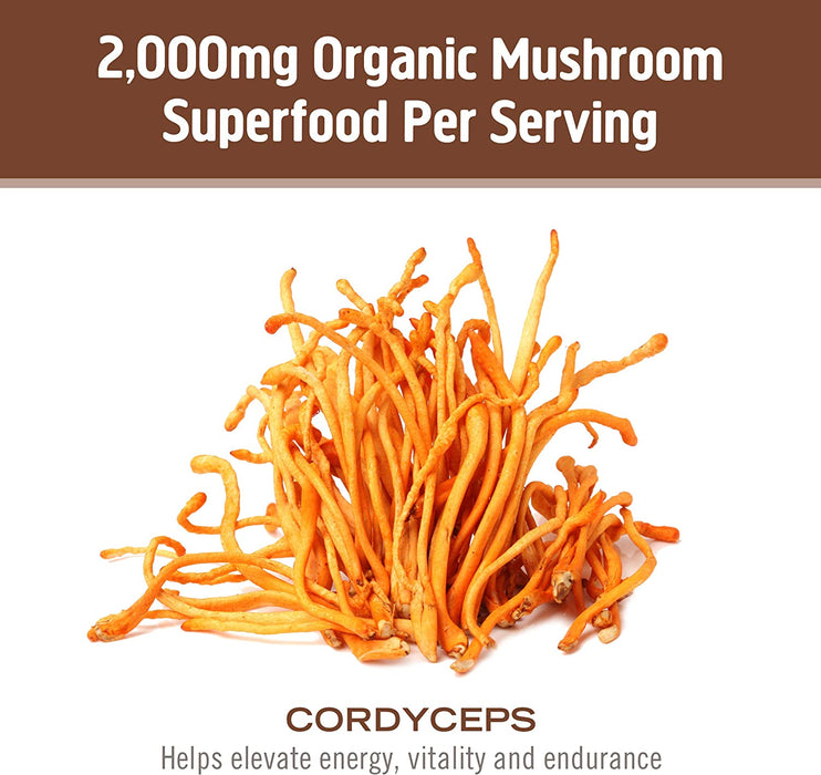 Om Mushroom Superfood Organic Cordyceps Mushroom Powder, 3.5 Oz