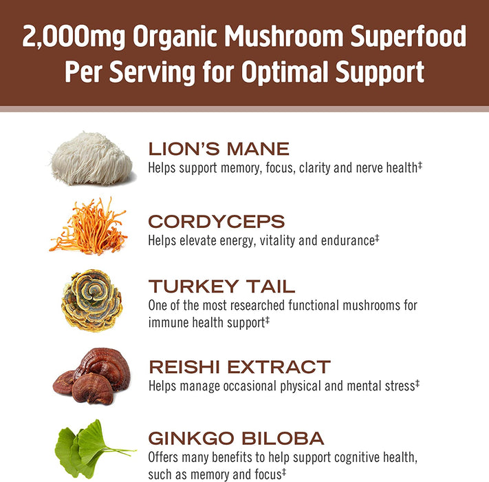 Om Mushroom Superfood Coffee Blend Mushroom Powder, Single Serve, 10 Count