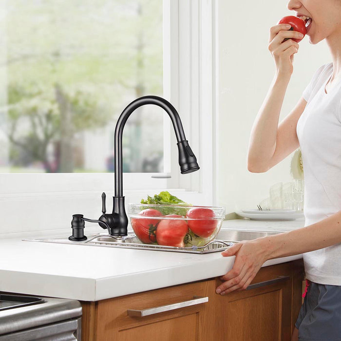 Aquaterior Soap Dispenser Built In Liquid Lotion Pump 13.5oz