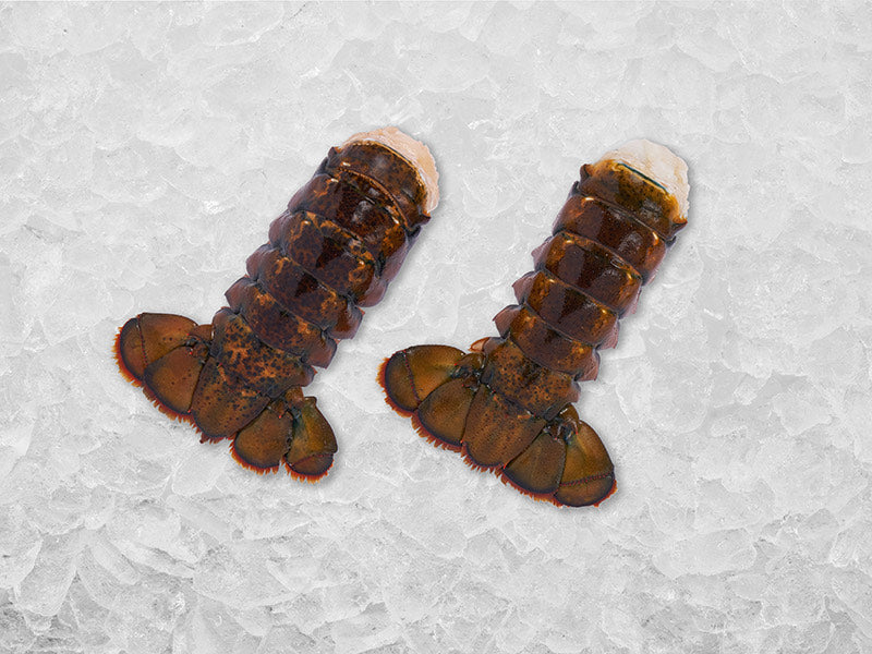 Medium Cold Water Wild Lobster Tail Stock Up Bundle