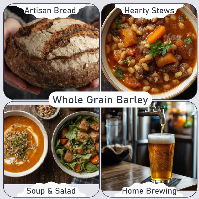 Organic Hulled Barley