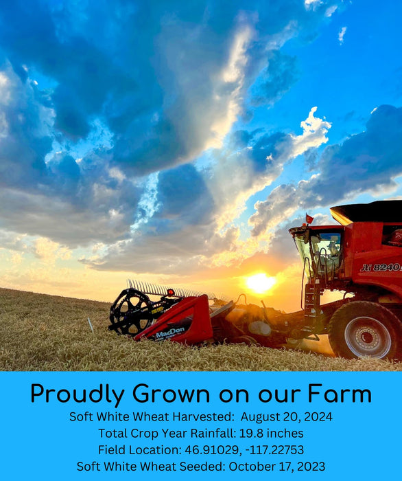 Soft White Wheat Bundle | 100 LB | Certified Glyphosate Residue Free