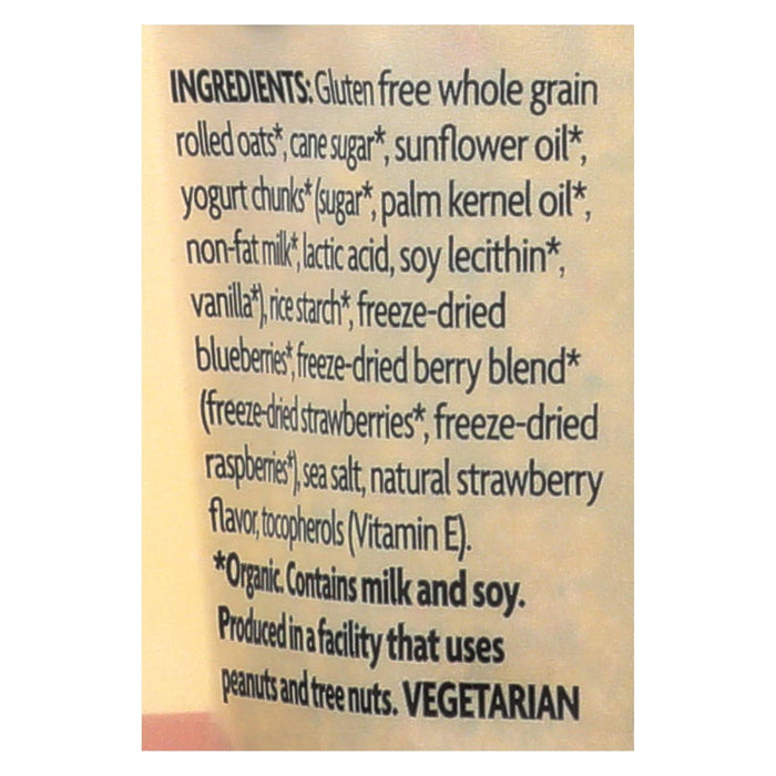 Nature's Path Organic Summer Berries Granola, 11 Oz. (Pack of 8)