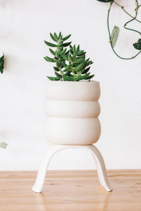 Ceramic Raised Plant Pot