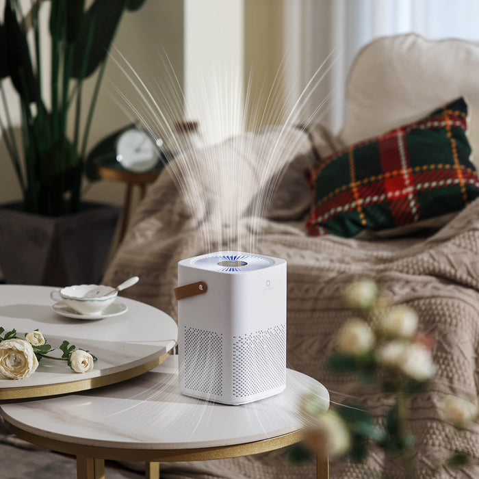 Day Dawning ADH70 Desktop Air Purifier