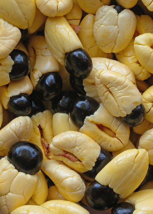 Ackee (Blighia sapida)