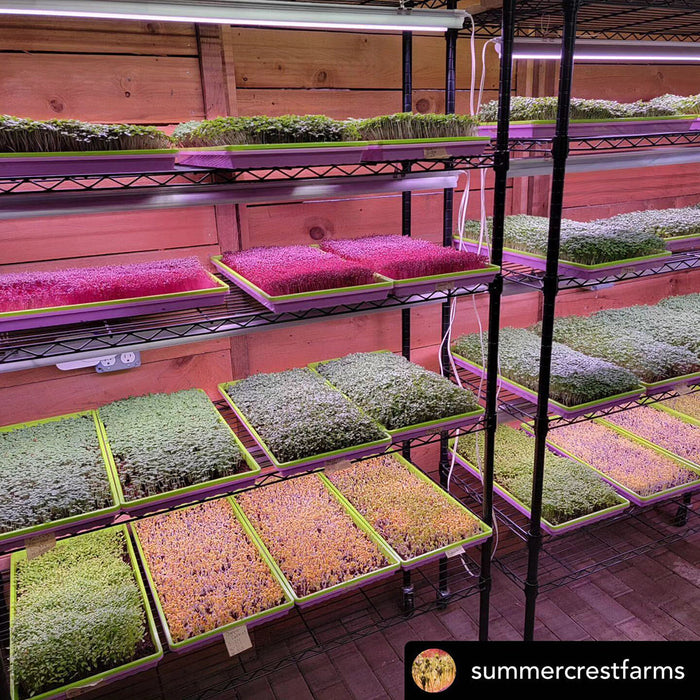 1020 Heavy Duty Microgreens Kit