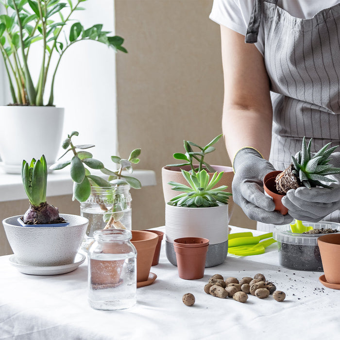 House Plants 3-Tier Walden White LED Grow Tent Kit