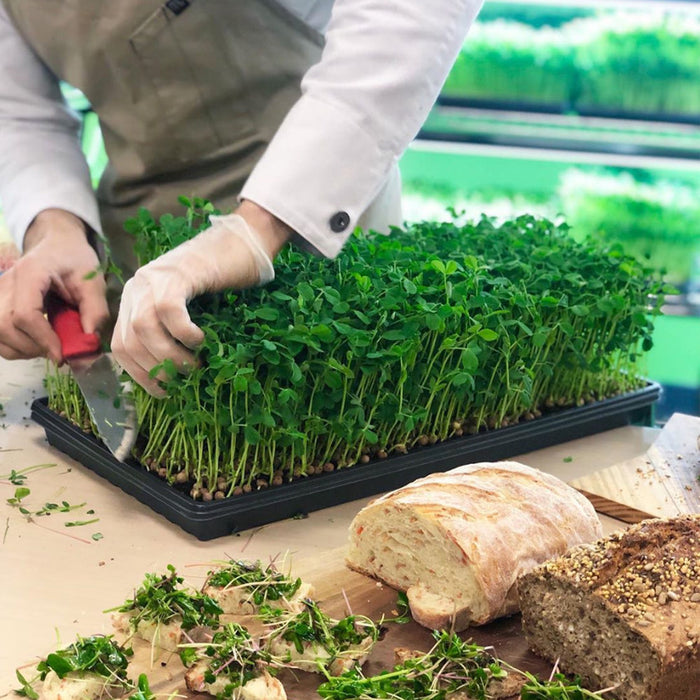 Integrated Dual T8 4FT LED Grow Light (100W Eqv.) – Sun White Spectrum