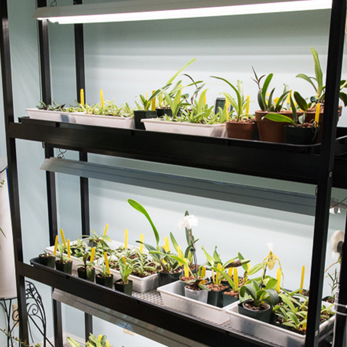 Integrated Dual T8 4FT LED Grow Light (100W Eqv.) – Sun White Spectrum