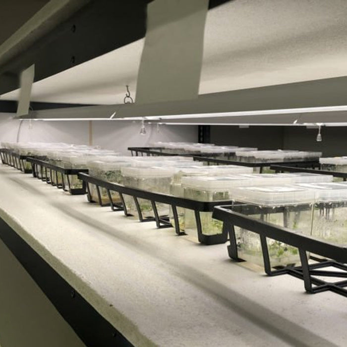 Integrated Dual T8 4FT LED Grow Light (100W Eqv.) – Sun White Spectrum