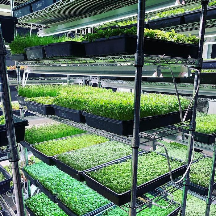 Integrated Strip T5 4FT LED Grow Light (54W Eqv.)  – Sun White Pro Spectrum