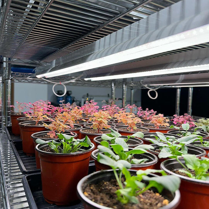 Integrated Strip T5 4FT LED Grow Light (54W Eqv.) – Sun White Spectrum