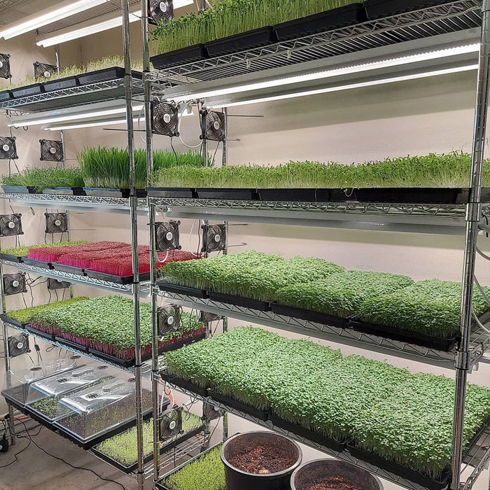 Integrated Strip T5 4FT LED Grow Light (54W Eqv.) – Sun White Spectrum