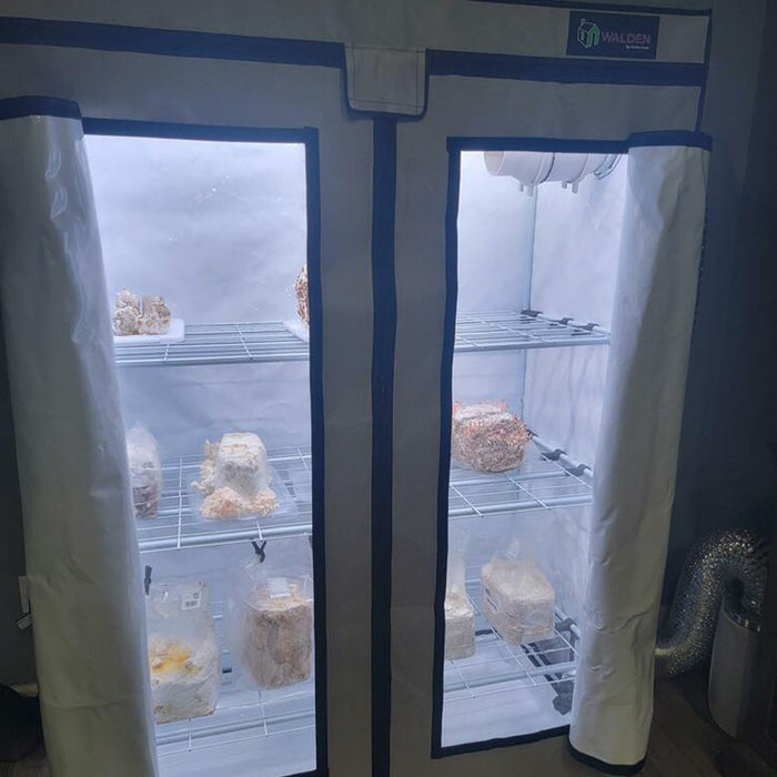 Integrated Dual T8 2FT LED Mushroom Grow Light (40W Eqv.) – Blue Sun Spectrum