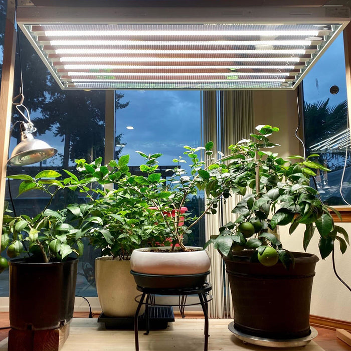 T5 HO 4FT 8 Lamp LED Grow Light (432W Eqv.) - Sun White Pro Spectrum