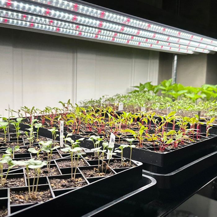 T5 HO Plug & Play 4FT LED Grow Lamp (54W Eqv.) – Sun White Pro Spectrum