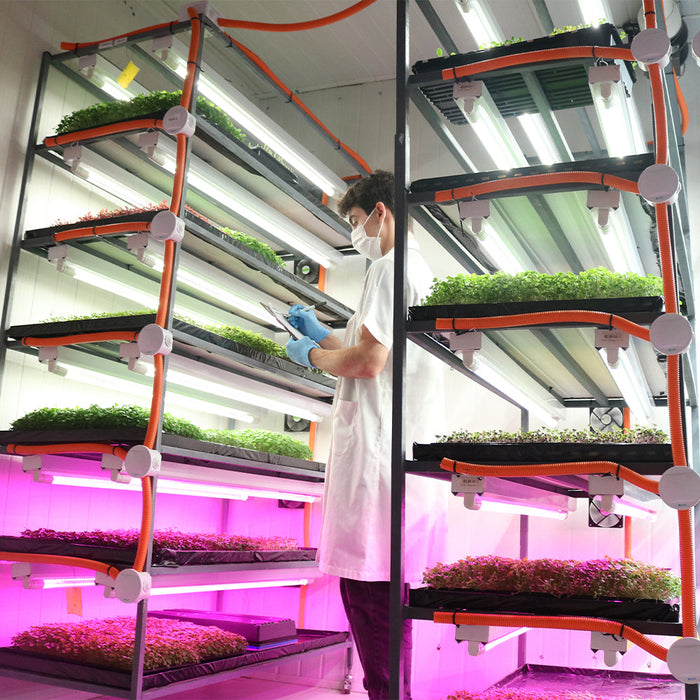 T8 HO 4FT LED Grow Lamp (40W Eqv.) – Sun White Spectrum