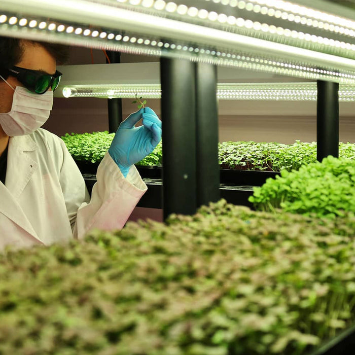 T8 HO 4FT LED Grow Lamp (40W Eqv.) – Sun White Pro Spectrum