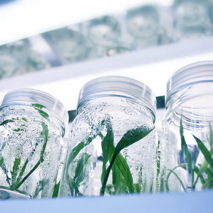 T8 HO 4FT LED Grow Lamp (40W Eqv.) – Sun White Pro Spectrum