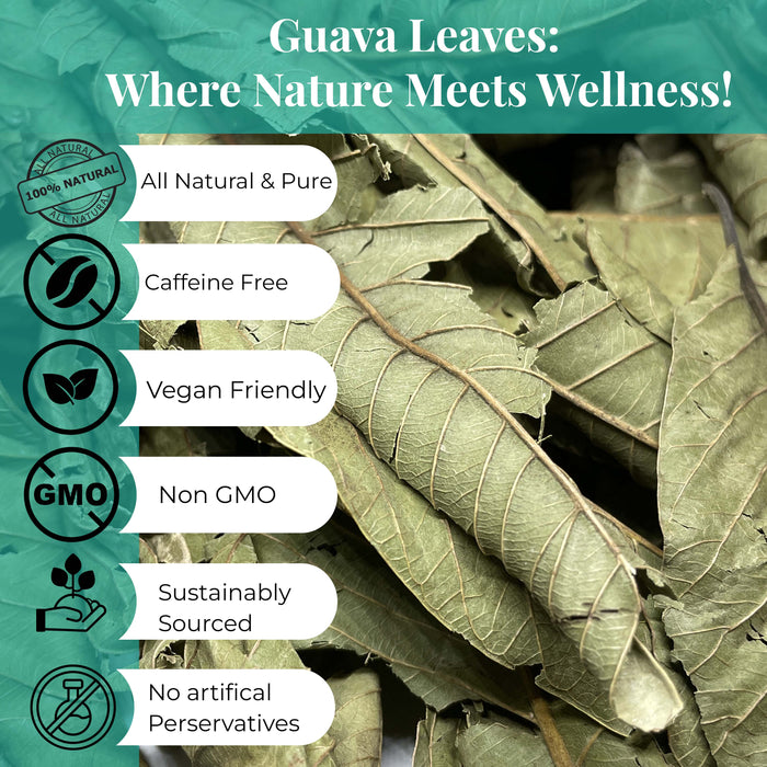Akshit Dried Guava Leaves 100% Natural , ( Hojas De Guayaba ) | Loose Tea, Non-GMO, Vegan, Gluten-Free | Support Digestive and Immune Health  2.5 oz
