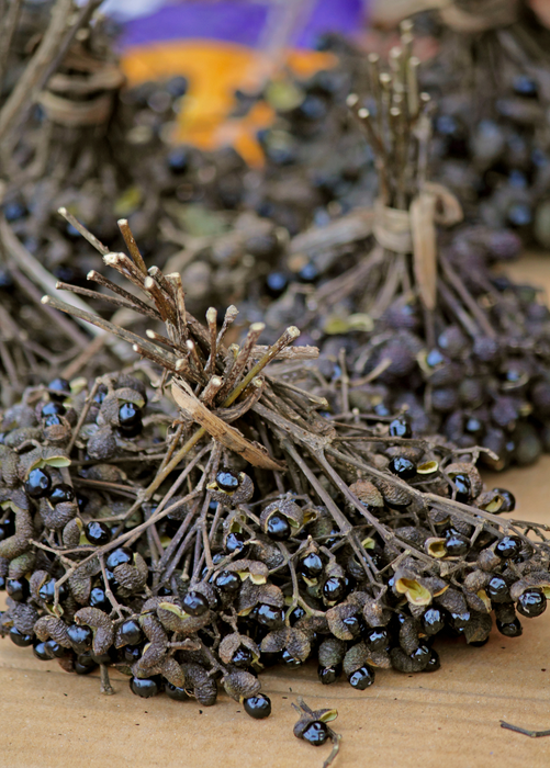 Allspice (Pimenta dioica)