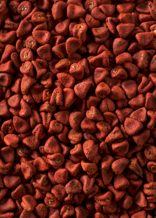 Annatto Achiote (Bixa orellana)