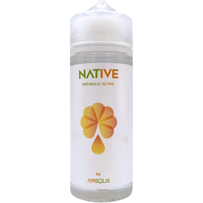 Apisolis Flameless Smoker