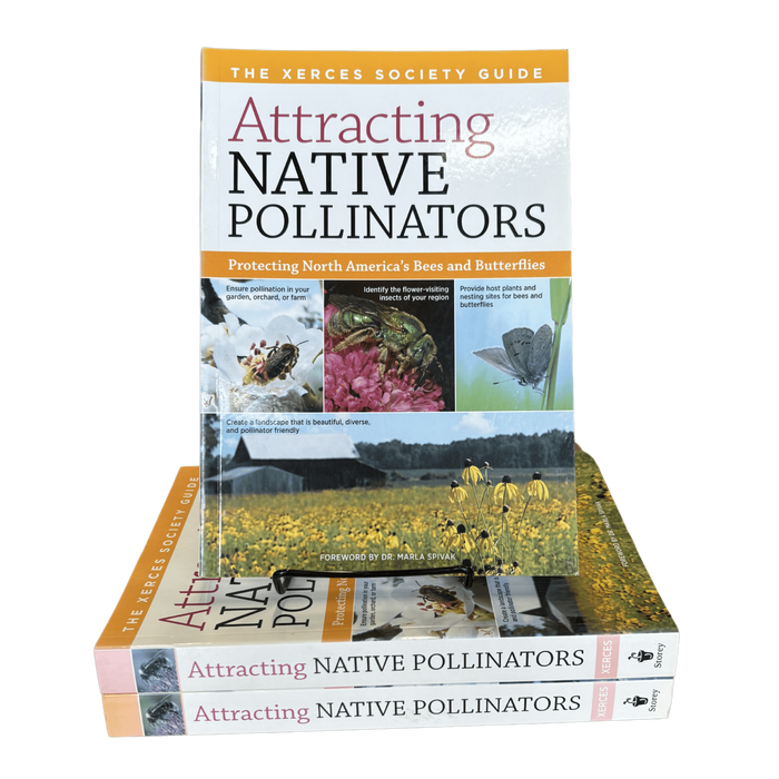 Attracting Native Pollinators