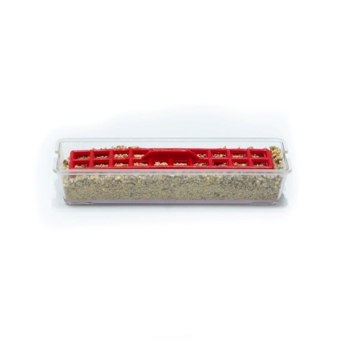 Baby Chick Starter Feeder