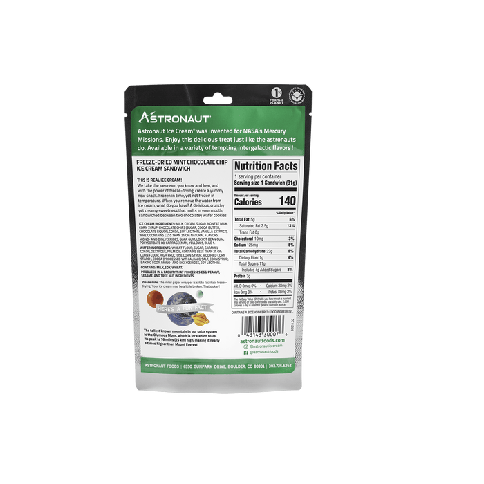 Mint Chocolate Chip Ice Cream Sandwich