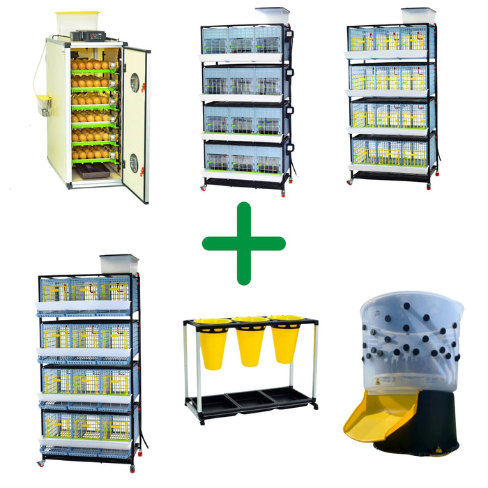 Breeding - Chicken Pro Plus Kit - End To End Process