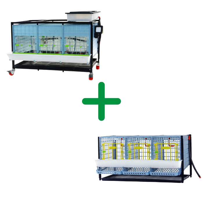Breeding - Chicken Starter Kit