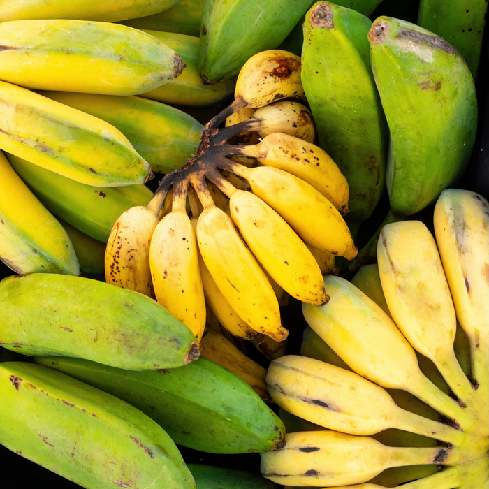 Banana Sampler