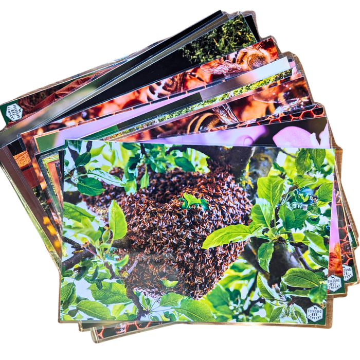 Educational Beekeeping Cards