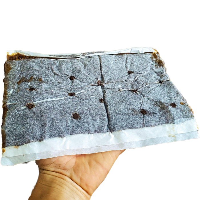 Bee Pro Protein Patties