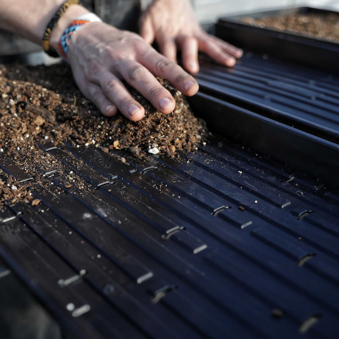 1020 Microgreen Trays - Shallow Extra Strength