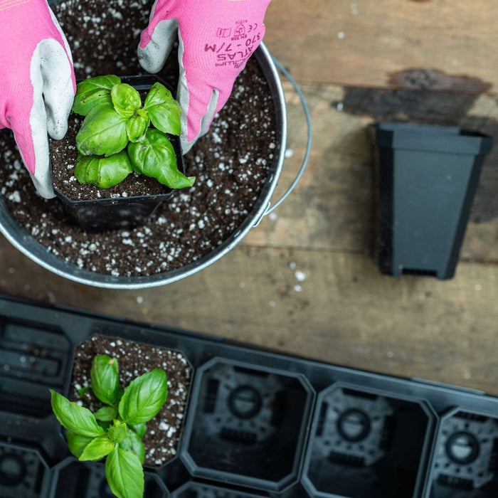 3.3" Heavy Duty Seed Starting Pots with Inserts