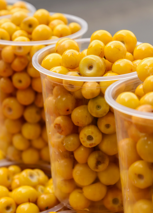 Nance (Byrsonima crassifolia)