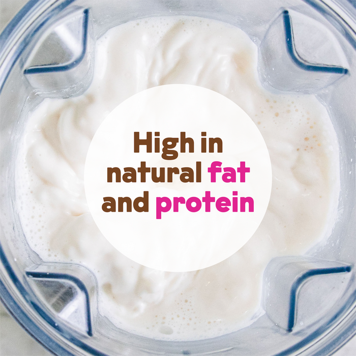 Cashew Milk Base - Bulk