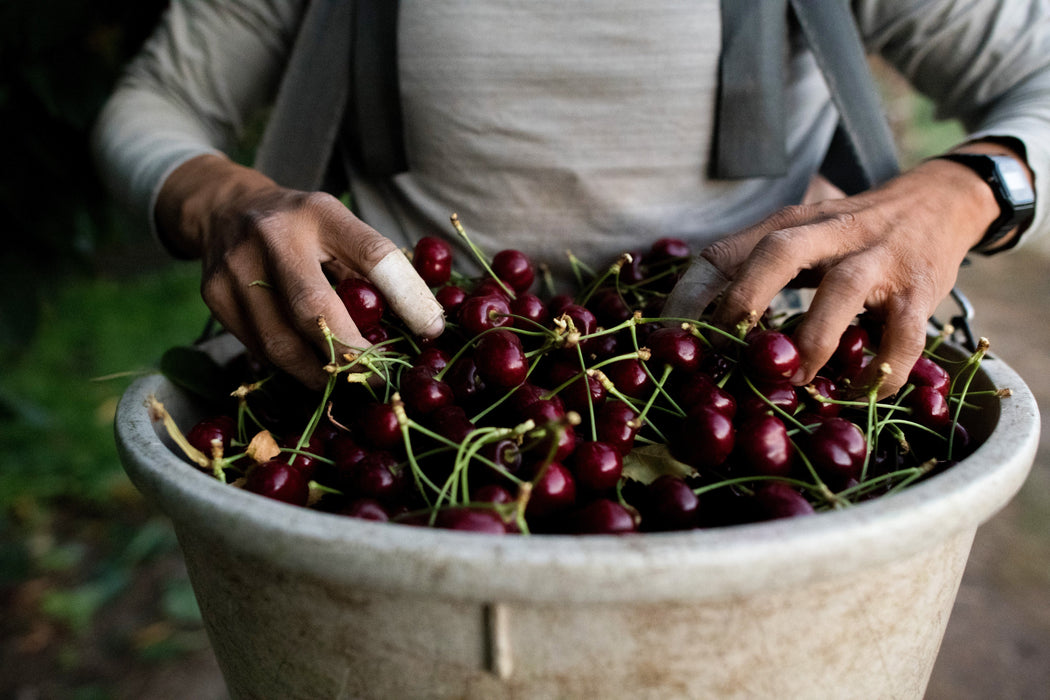 A Year in the Fields: The State of the Washington Farmer