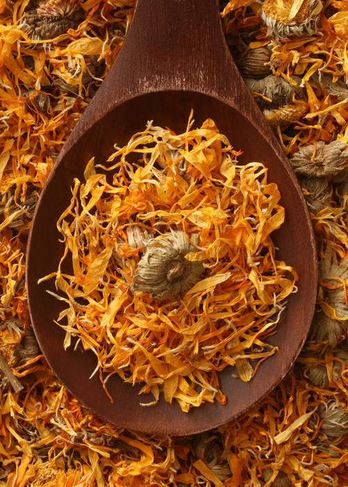 Calendula (Calendula officinalis)