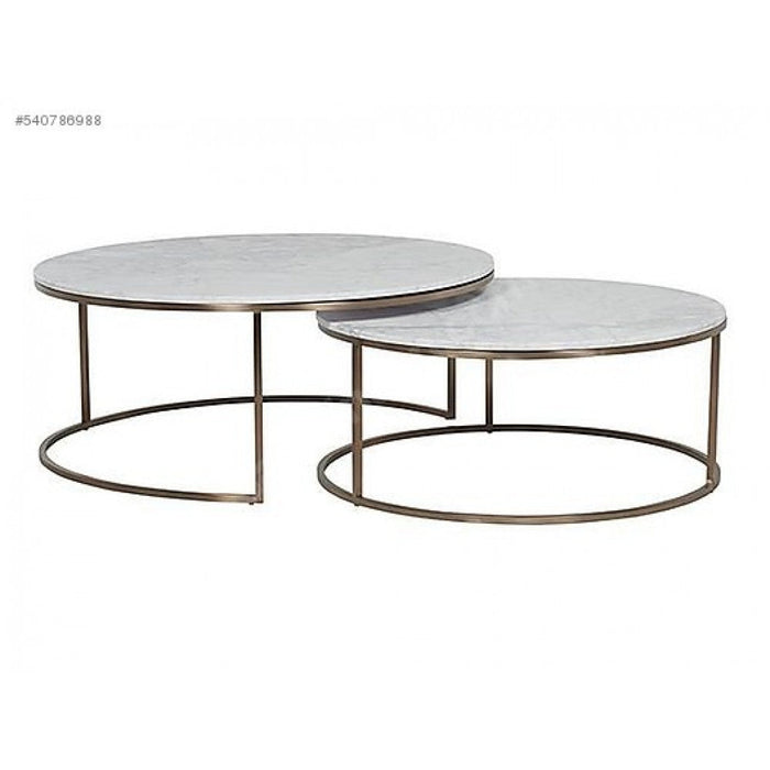 Carrara White Marble Nesting Coffee Table Round Set of 2 Polished