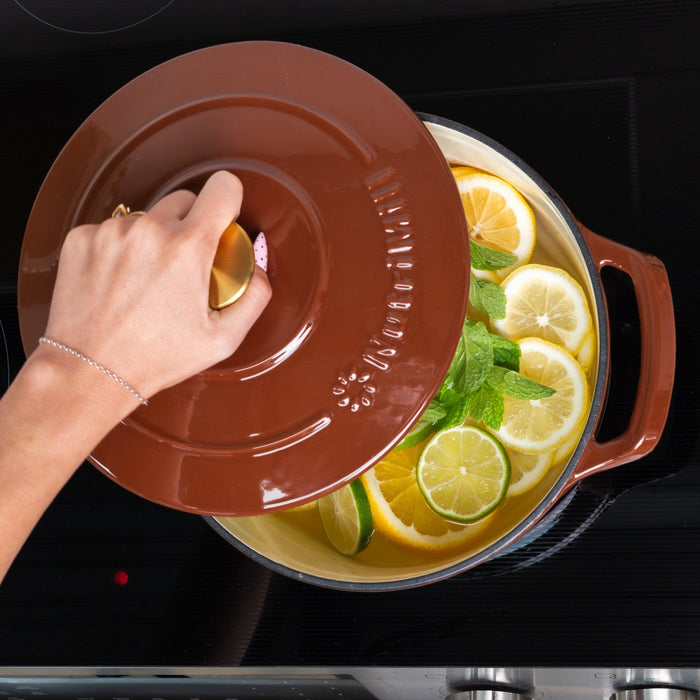 Enameled Cast Iron Dutch Oven