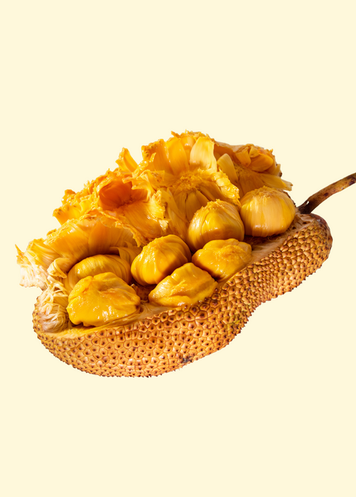 Jackfruit 'Cheena' (Artocarpus heterophyllus x Artocarpus integer)