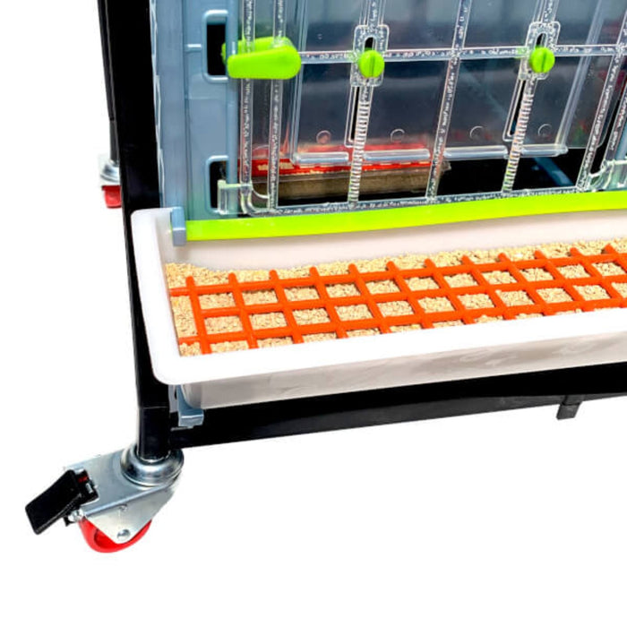 Chick Brooder - 1 Layer H: 15"