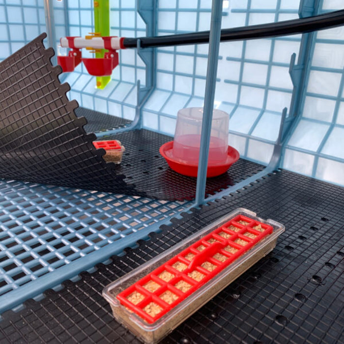 Chick Brooder - 4 Layer H: 15"