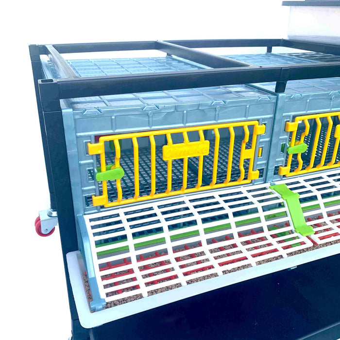 Grow Out Pen - 1 Layer H:9.5"